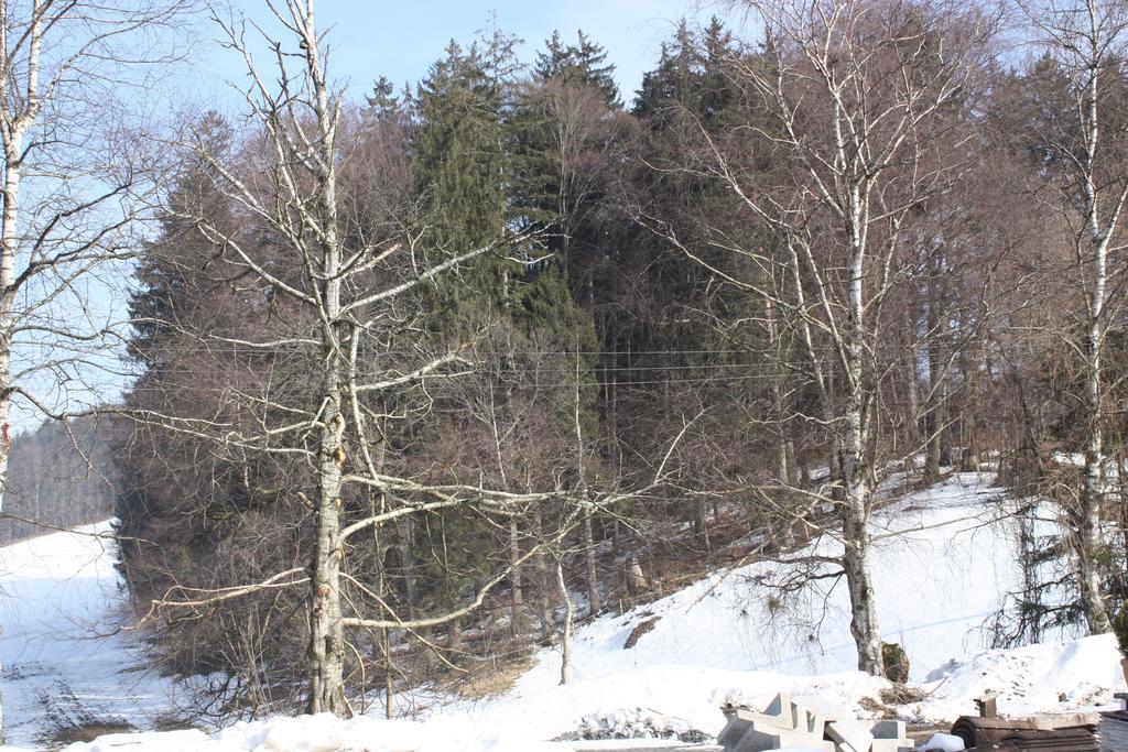 Ferienwohnungen Neukirchen Neukirchen am Teisenberg Luaran gambar