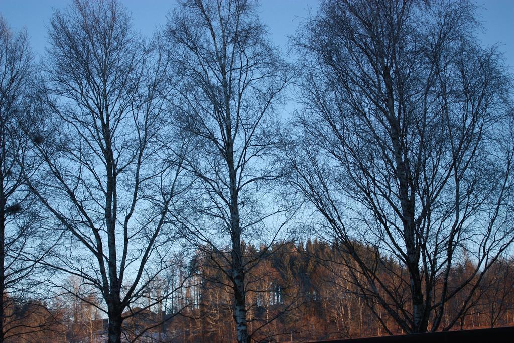 Ferienwohnungen Neukirchen Neukirchen am Teisenberg Luaran gambar