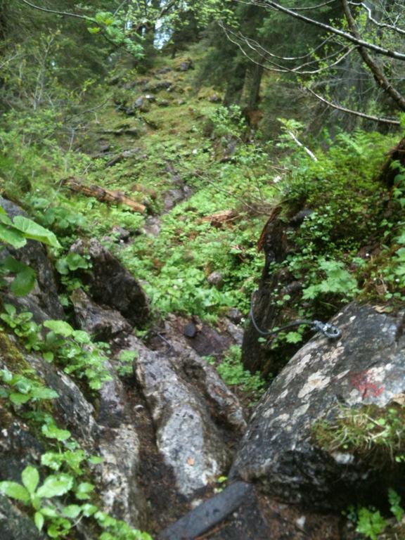 Ferienwohnungen Neukirchen Neukirchen am Teisenberg Luaran gambar